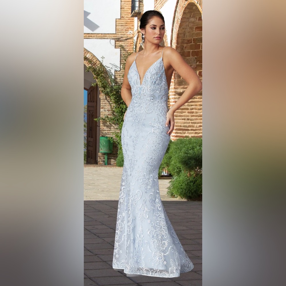 Powder Blue Embroidered Long Gown